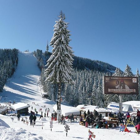 Aparthotel Pine Hills Pamporovo Buitenkant foto
